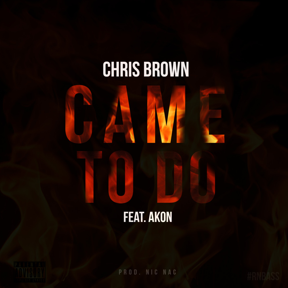 Chris Brown – Came To Do Lyrics feat. Akon