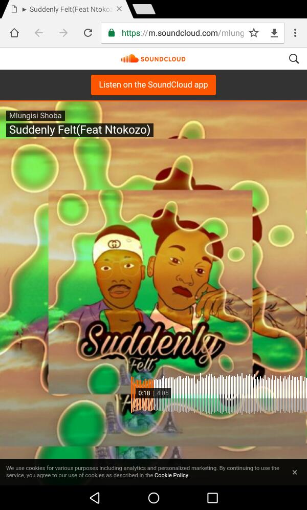 Suddenly Felt-Mlush Ft Ntokozo Lyrics