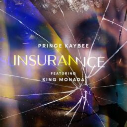 Insurance – Prince Kaybee