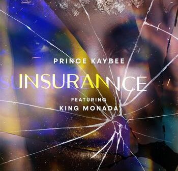 Insurance – Prince Kaybee
