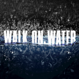 Eminem- Walk on Water lyrics Featuring  Beyoncé