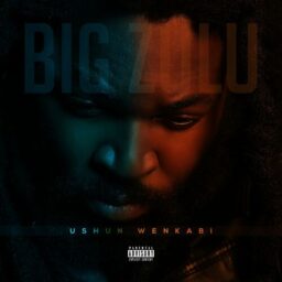 Big Zulu – Ushun Wenkabi lyrics
