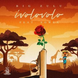 Big Zulu – Ivolovolo lyrics