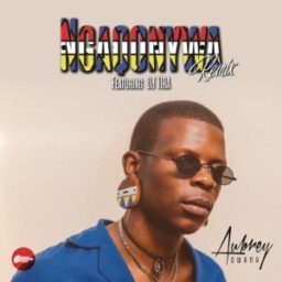 Aubrey Kwana – Ngaqonywa lyrics