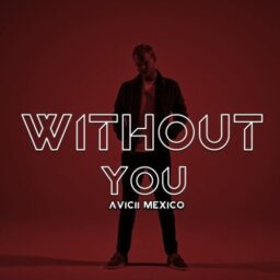 Avicii – Without You Lyrics