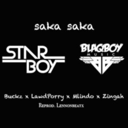 Blaqboy – Saka Saka Lyrics ft. DJ Maphorisa, Mlindo The Vocalist, DJ Buckz & Zingah