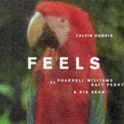 Calvin Harris – Feels Lyrics