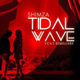 DJ Shimza – Tidal Wave Lyrics