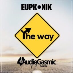 Euphonik – The Way Lyrics ft. Audiogasmic Soundz