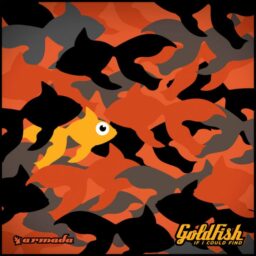 GoldFish – If I Could Find Lyrics