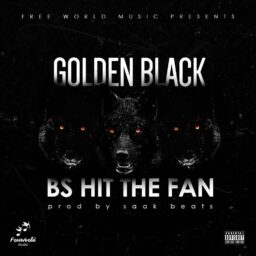 Golden Black Music- Bull Shit Hit The Fan Lyrics