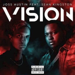 Joss Austin – Vision Lyrics