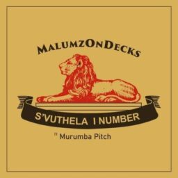 Malumz on Decks – S’vuthela I Number lyrics