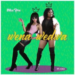 Miss Pru DJ feat. Cici – Wena Wedwa Lyrics