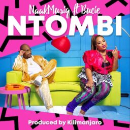 NaakMusiQ – Ntombi Lyrics ft. Bucie