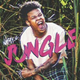 Nasty C – Jungle Lyrics