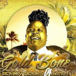 Papa Penny – GoldBone Lyrics