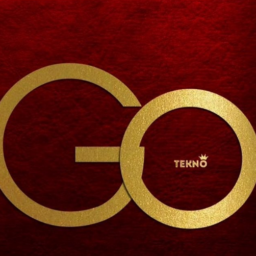 Tekno – Go Lyrics