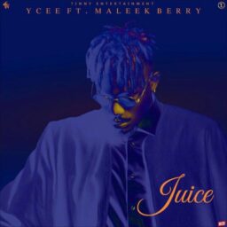 Ycee – Juice Lyrics