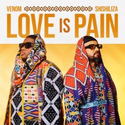 Venom & Shishiliza ft. Aubrey Qwana- Vuka lyrics