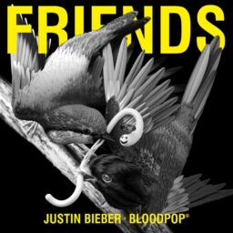 Justin Bieber and BloodPop – Friends Lyrics