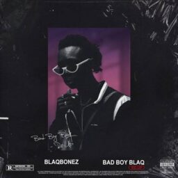 Blaqbonez  – Denied Lyrics