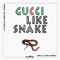Dj So Nice – Gucci Like Snake Lyrics