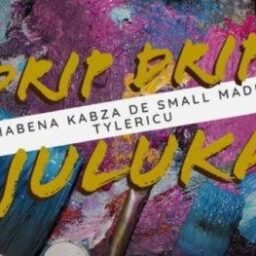 Kabza De Small- Drip Drip Juluka Lyrics