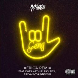 Mayorkun- Geng (Africa Remix )Lyrics