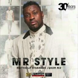 Mr Style – Siyofela etjwaleni lyrics