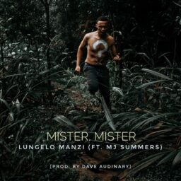 Lungelo Manzi – Mister Mister Lyrics