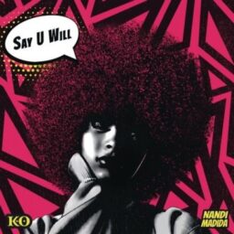 K.O – Say You Will Lyrics