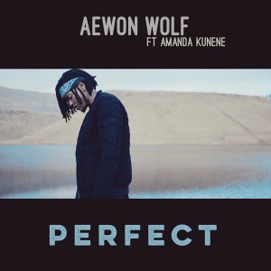 Aewon Wolf- Perfect Lyrics