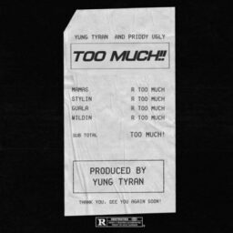 Yung Tyran – Too Much Lyrics