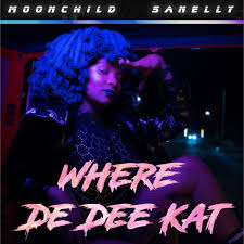 Moonchild Sanelly – Where De Dee Kat Lyrics