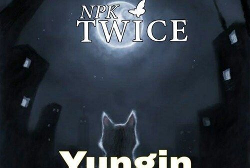 Npk Twice – Yungin Ft Nasty C & Tellaman [Lyrics]