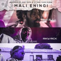 Big Zulu – Mali Eningi Lyrics